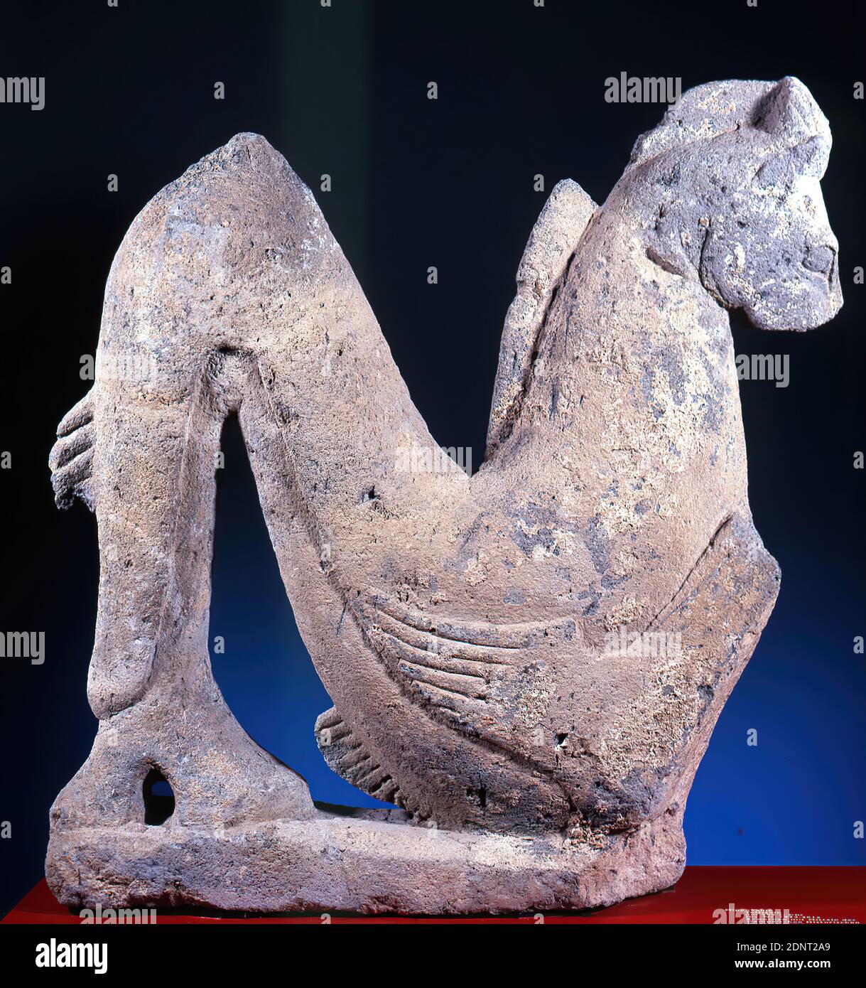 Hippokamp, Tuff, chiseled, Nenfro tuff, chiseled, Total: Height: 82.4 cm; Width: 82.5 cm; Depth: 17.5 cm, Sculptures, funerary monument, grave furnishings, late archaic, The term Hippokamp refers to a mythical creature that is half horse, half sea monster. The sculpture radiates a wild, unbridled dynamic and extreme tension. With the almost square format of the stone block, the artist has set limits into which the outline of the figure is set. At the sides, the erected tail and the lost front legs form the vertical conclusion. Stock Photo