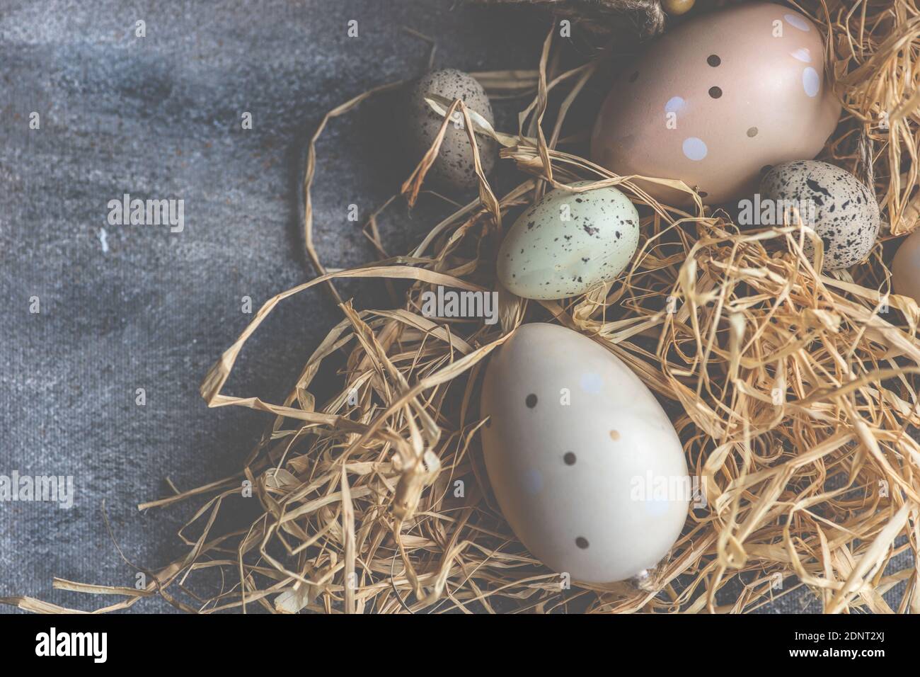 Painted Easter eggs and straw decoration Stock Photo