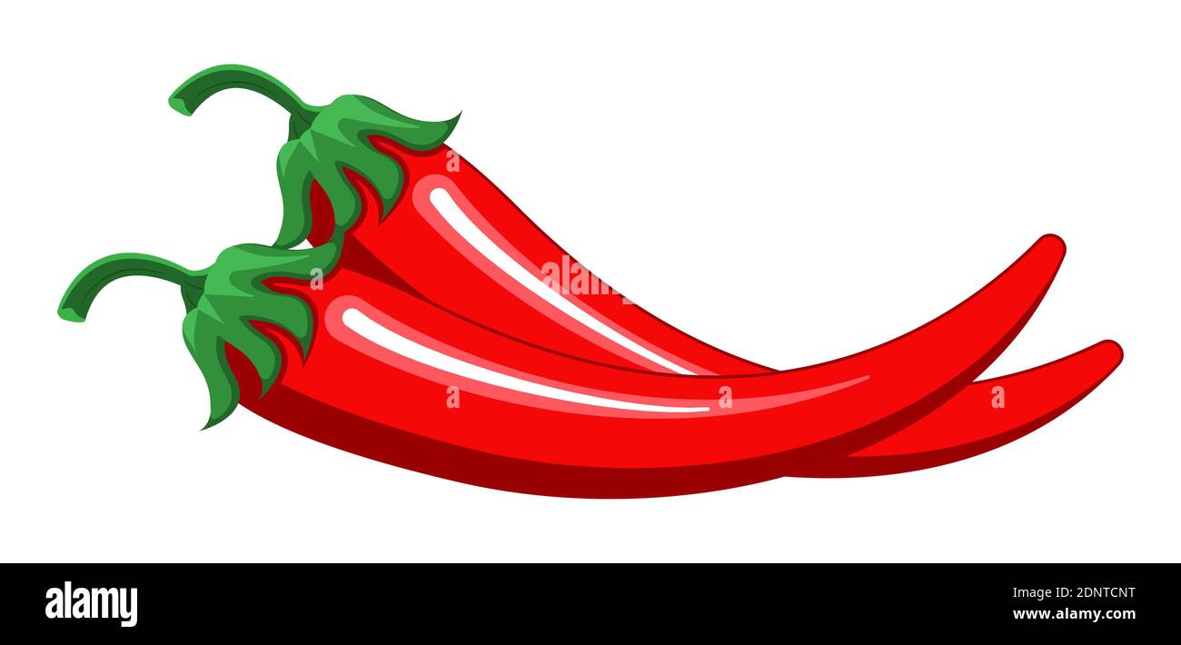 Red chilly peppers vector isolated on the white background. Hot ...