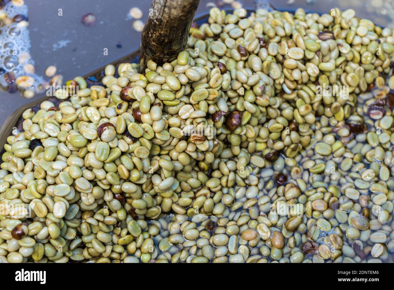 Wet method coffee hi-res stock photography and images - Alamy