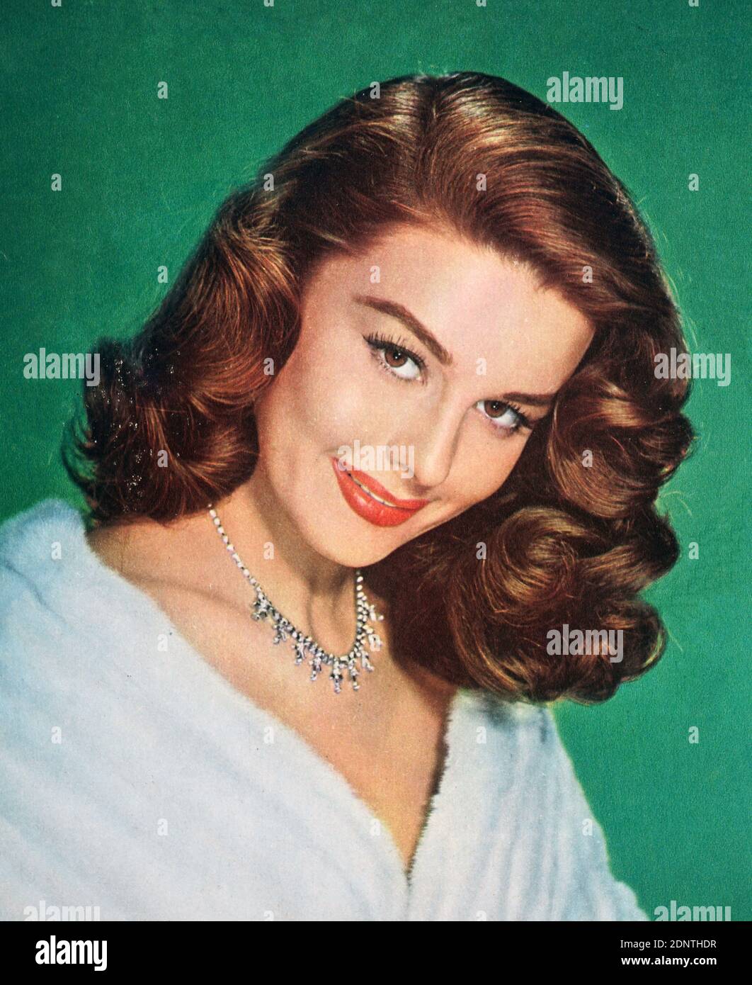 Photograph of Elaine Stewart (1930-2011) an American actress and model. Stock Photo