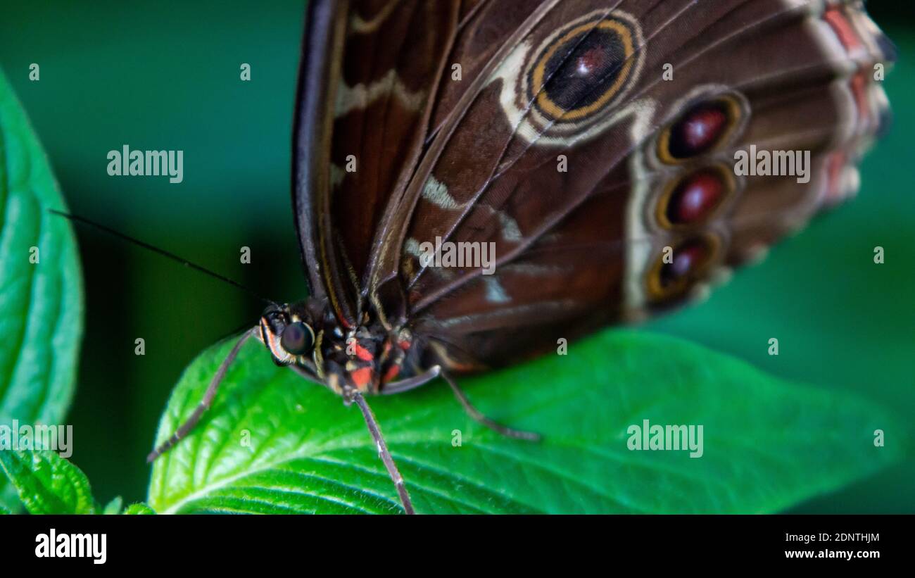 Gripping Hold Tight Stock Photo Alamy