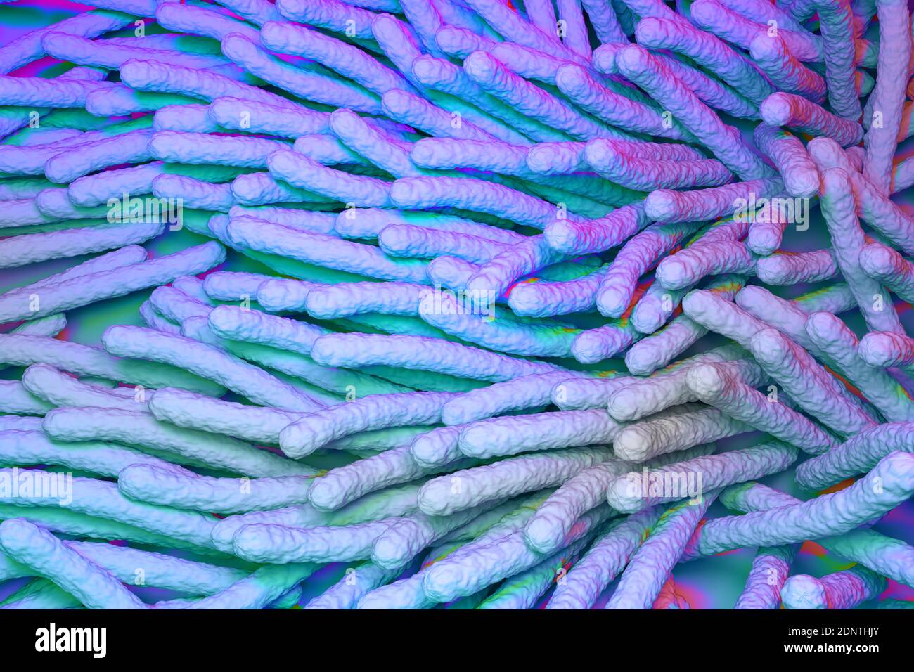 Mycobacterium tuberculosis bacteria 3d render illustration Stock Photo