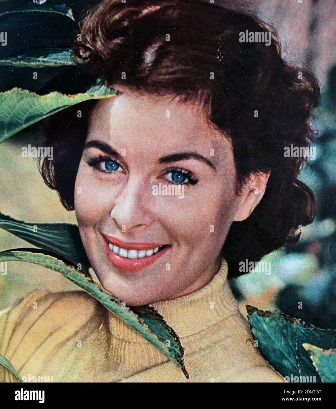 Photograph of Constance Smith (1929-2003) an Irish film actress, and contract player of 20th Century Fox. Stock Photo