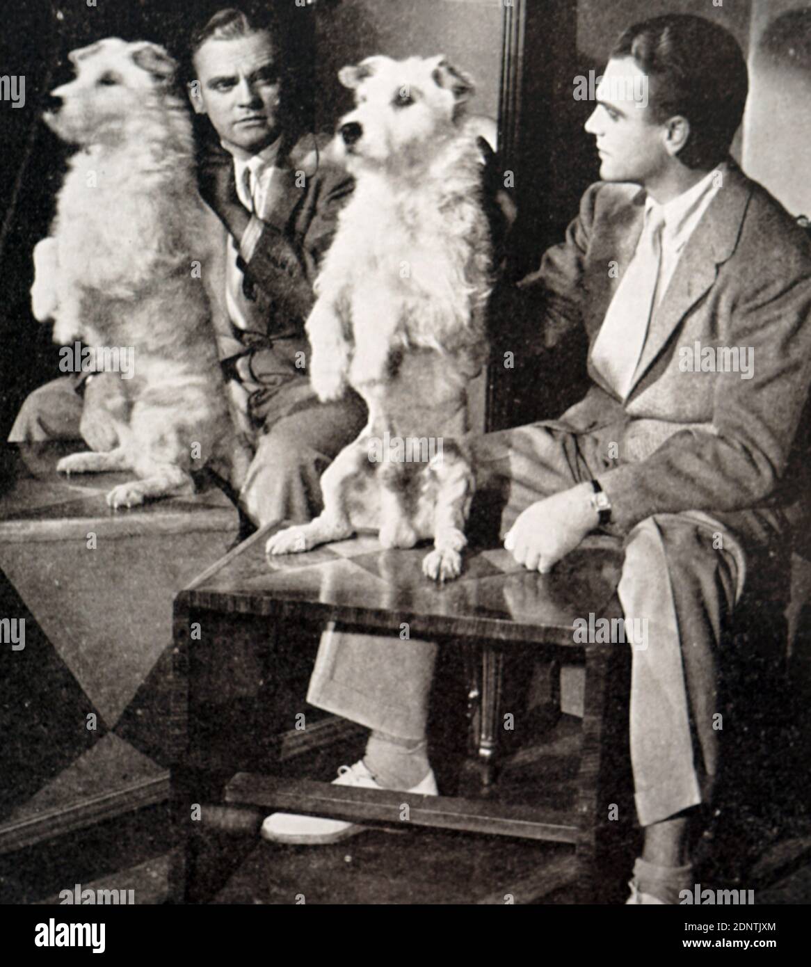 Photograph of James Cagney (1899-1986) an American actor and dancer