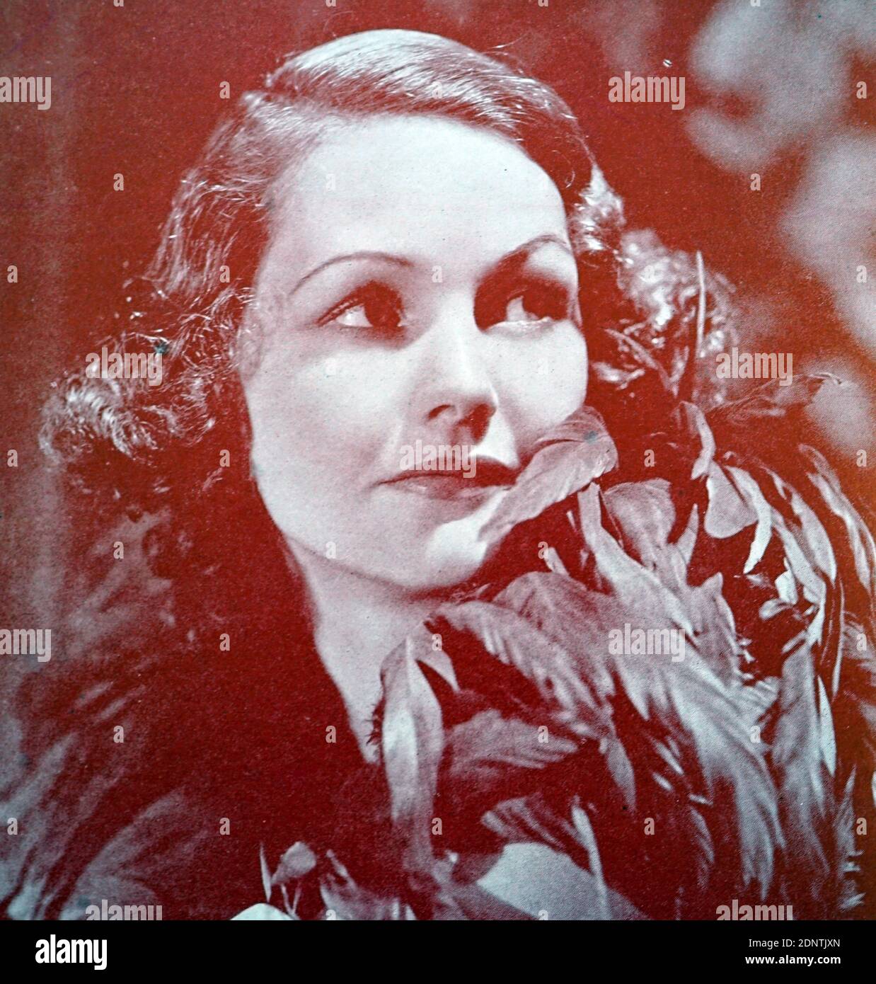 Photograph of Elizabeth Allan (1910-1990) an English stage and film actress. Stock Photo