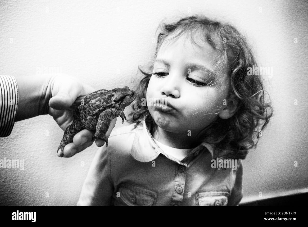 Portrait of a girl kissing a frog Stock Photo