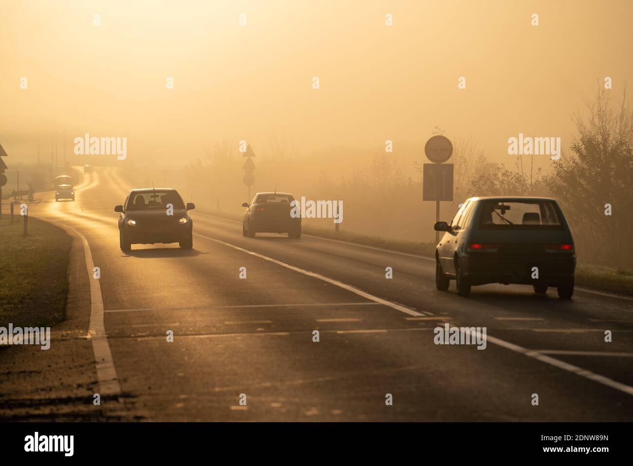 Highway at early morning with fog and sunshine Stock Photo - Alamy