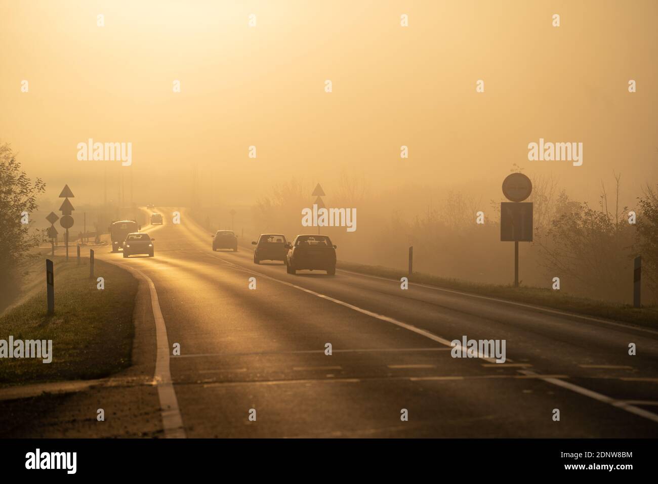Highway at early morning with fog and sunshine Stock Photo - Alamy