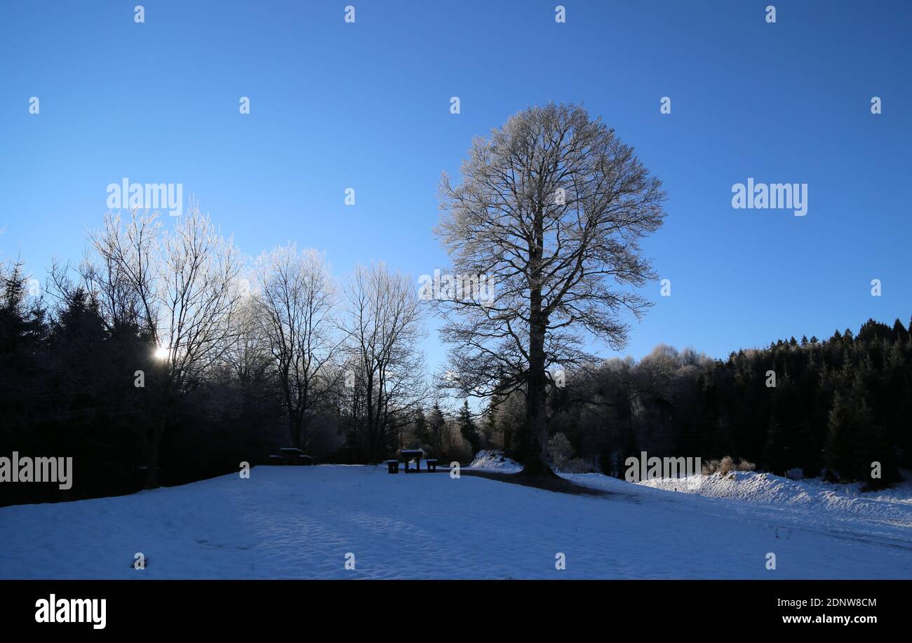 Morning sun ray beams hi-res stock photography and images - Alamy