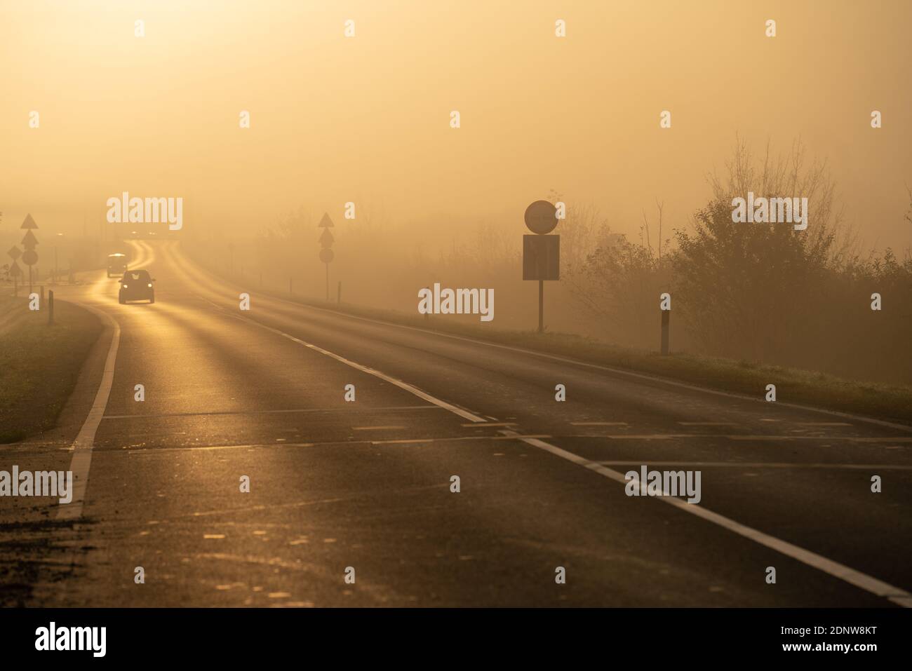 Highway at early morning with fog and sunshine Stock Photo - Alamy