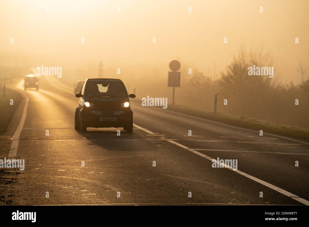 Highway at early morning with fog and sunshine Stock Photo - Alamy