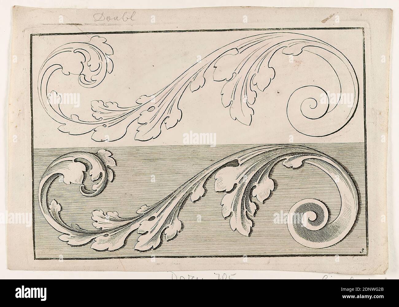 Acanthus Leaf Engraving