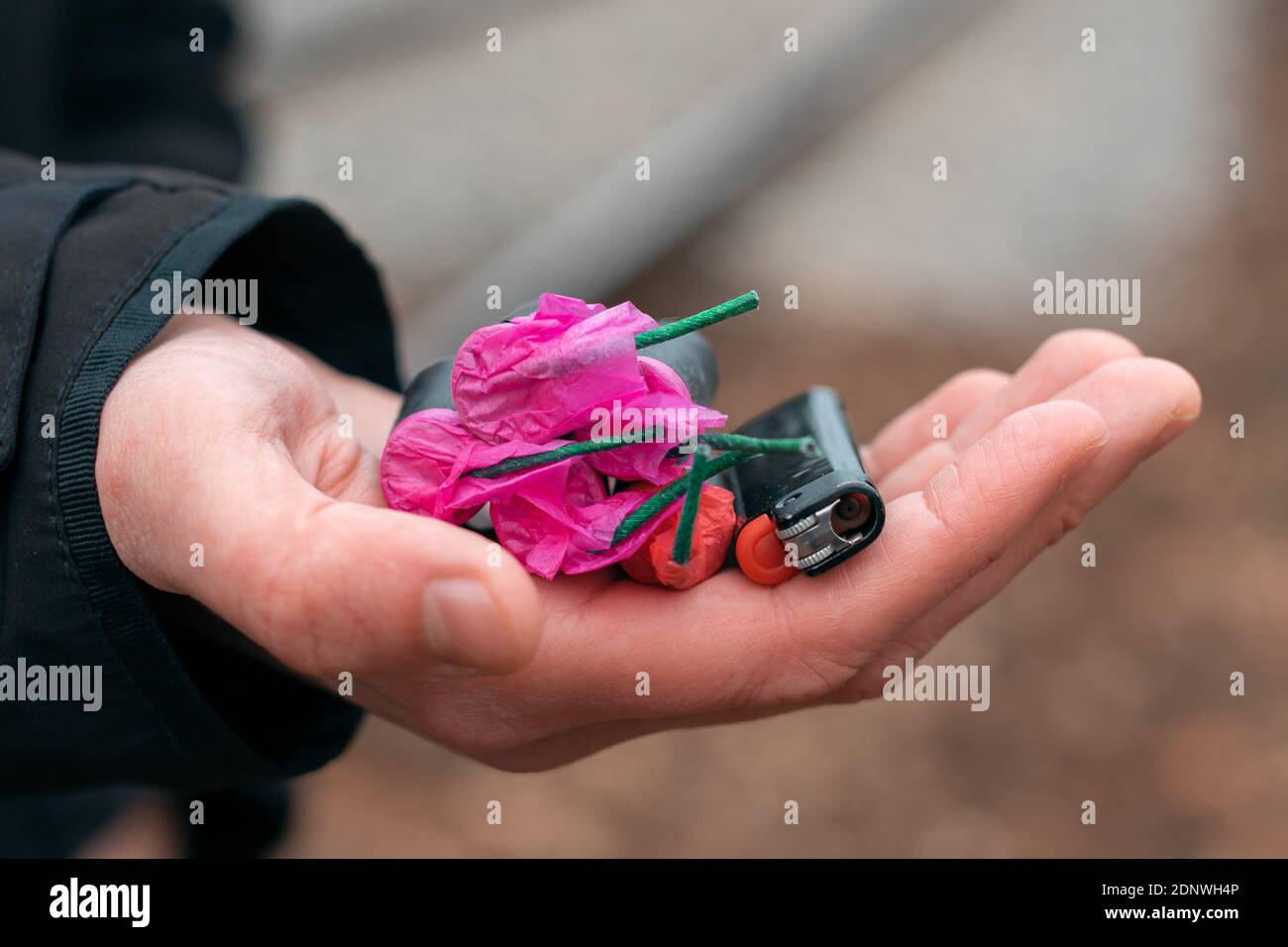 The Firecrackers in a Hand. Man Holding Five Black Petards with a Gas Lighter on His Palm. A Human with a Pyrotechnics Outdoors Stock Photo