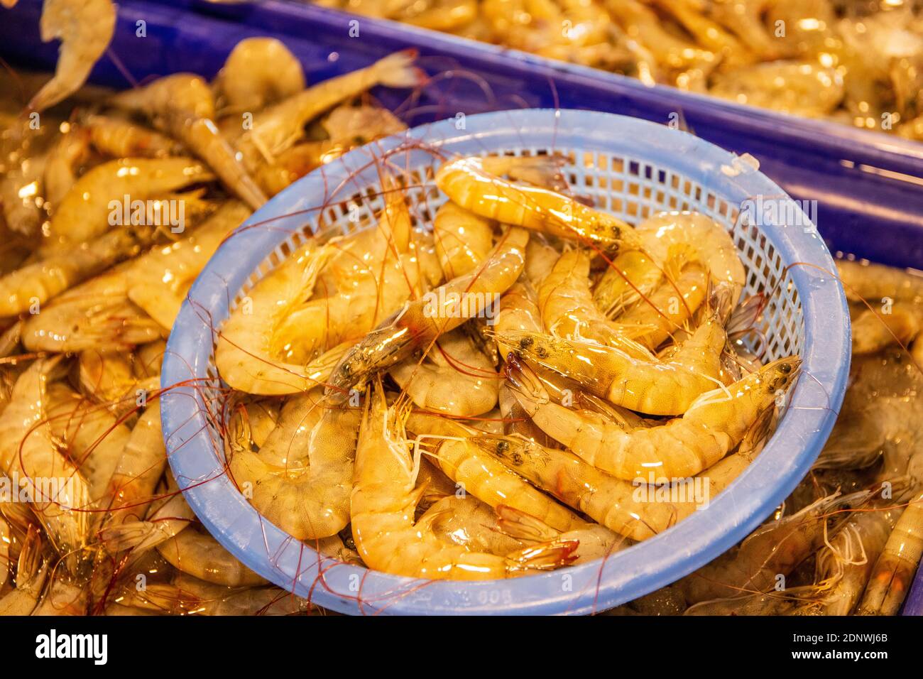 seafood from Thailand Southeast Asia Stock Photo Alamy