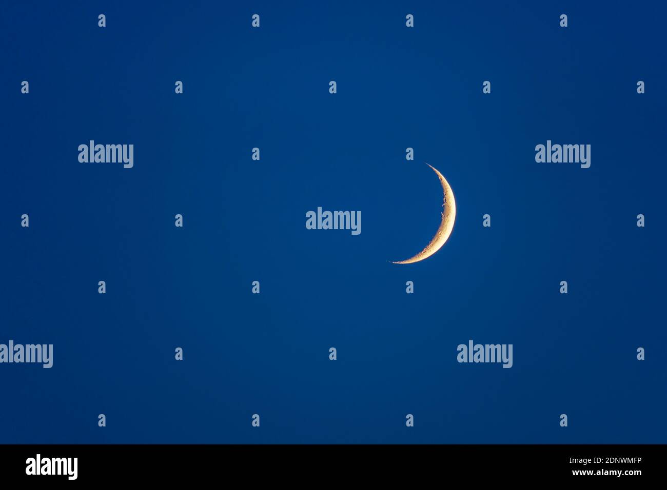 Waxing moon, crescent moon in the night sky, Bavaria, Germany, Europe