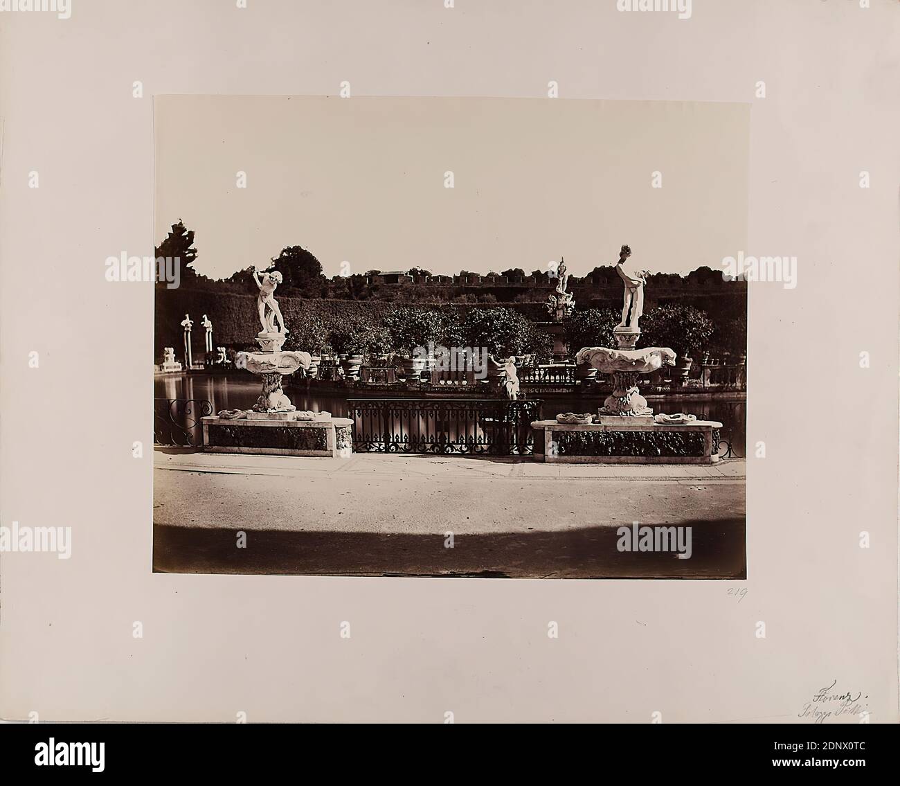 Synaptic changes contribute to persistent extra-motor behaviour deficits in  the rNLS8 TDP-43 mouse model of amyotrophic lateral sclerosis | bioRxiv, image size:1300x1135