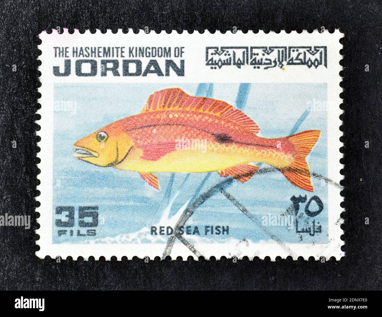 Cancelled postage stamp printed by Jordan , that shows red sea fish, circa 1975. Stock Photo