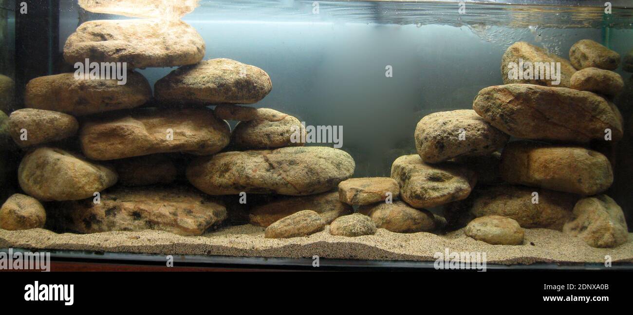 Aquarium with rocks decor suitable for Malawi or Tanganyika cichlids Stock Photo