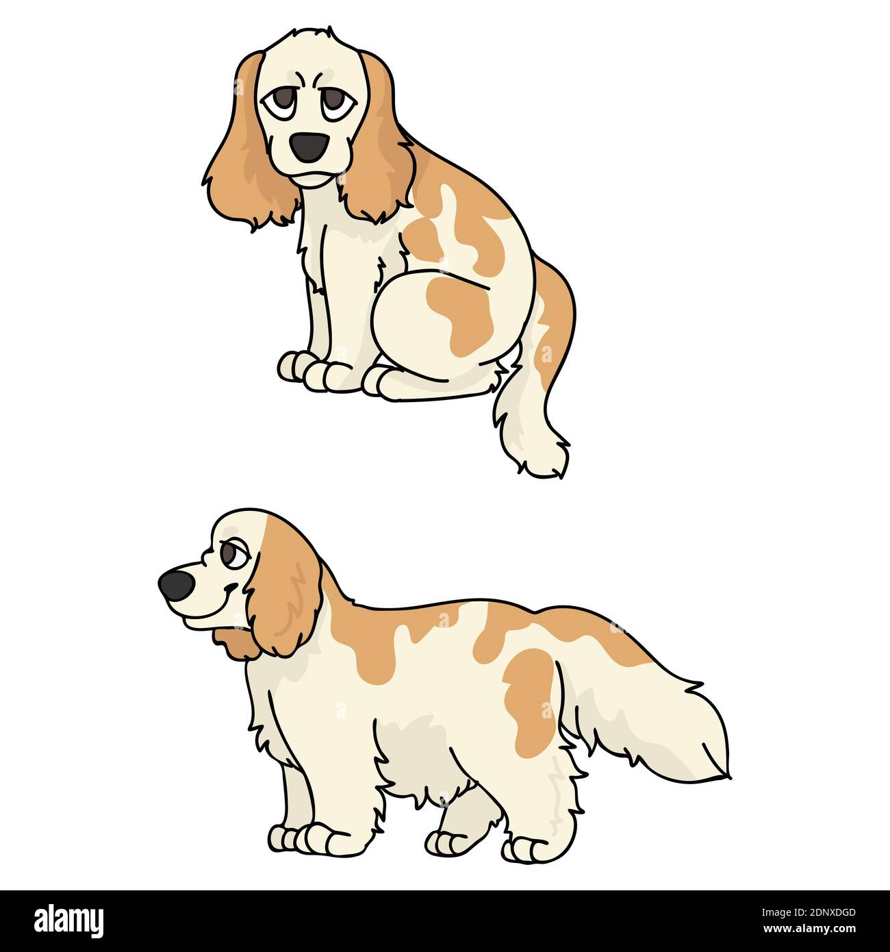 Cute cartoon Cocker Spaniel puppy vector clipart. Pedigree kennel doggie  breed for kennel club. Purebred domestic dog training for pet parlor Stock  Vector Image & Art - Alamy