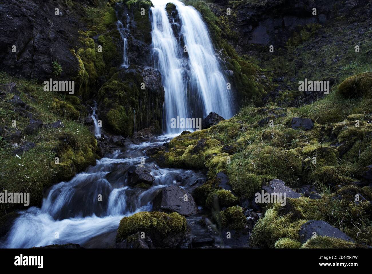 Waterstream Iceland / East Iceland/ waterstream with green moss Stock Photo - Alamy