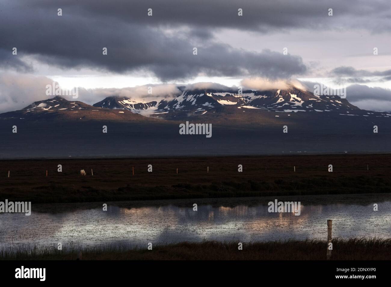 Iceland / East Iceland/ East Fjords near Husey Stock Photo
