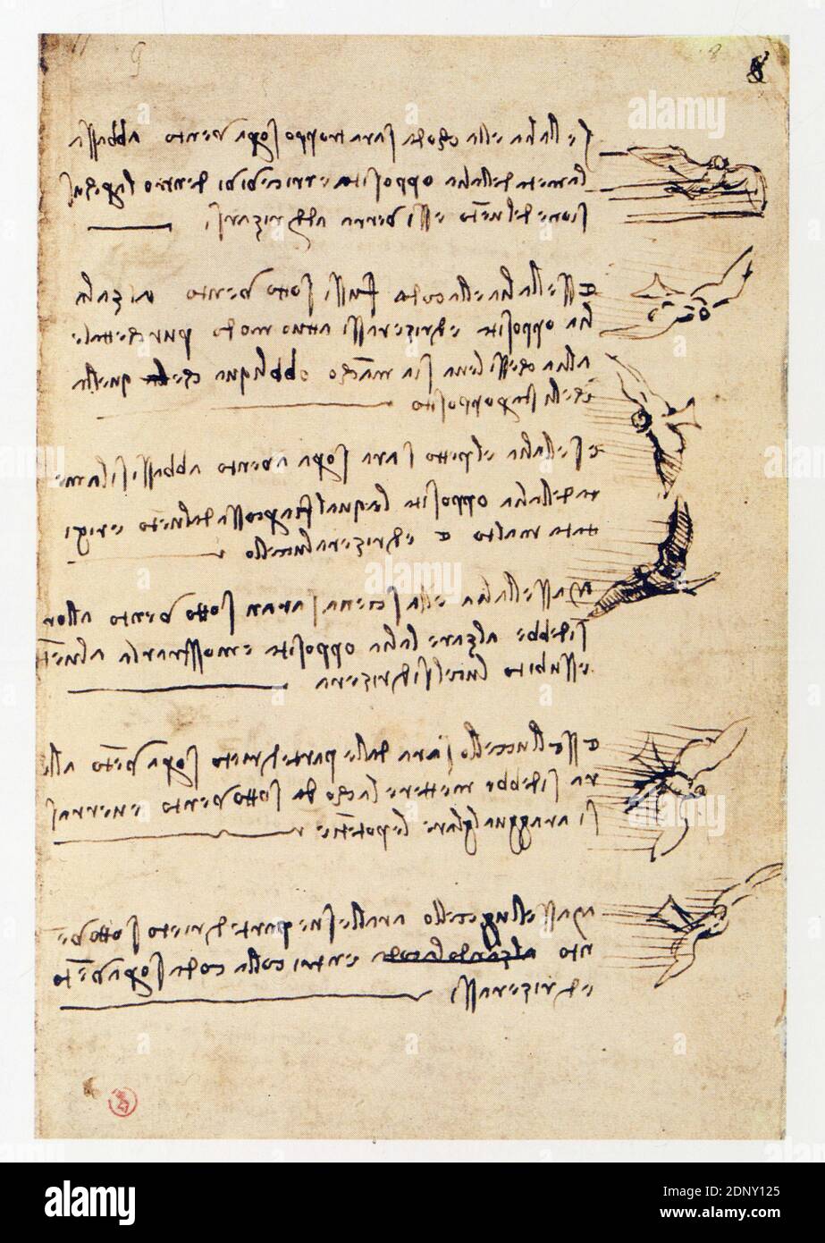 Leonardo da Vinci.Dessins et notes sur le vol des oiseaux. Stock Photo