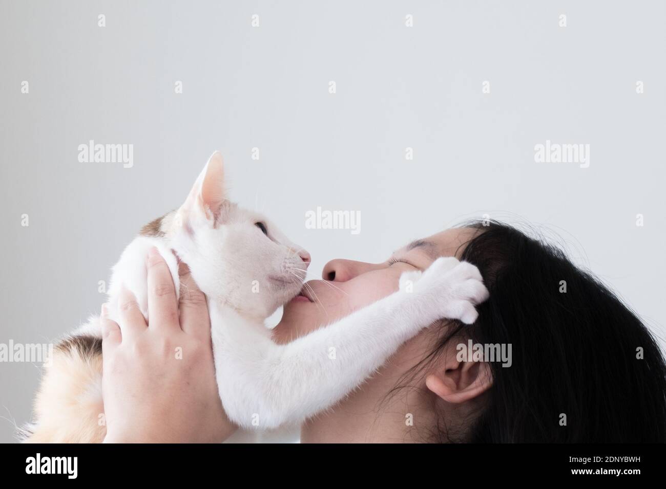 Cat kissing camera hires stock photography and images Alamy