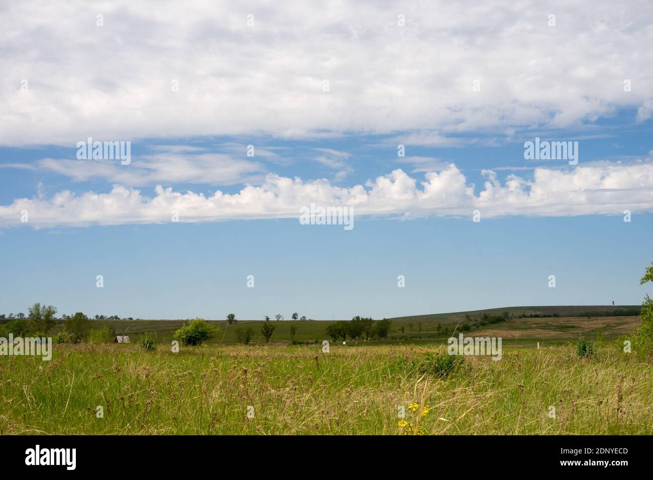 Steppe summer landscape near Lake Tagarskoye in the Minusinsky district of the Krasnoyarsk Territory. Russia. Stock Photo