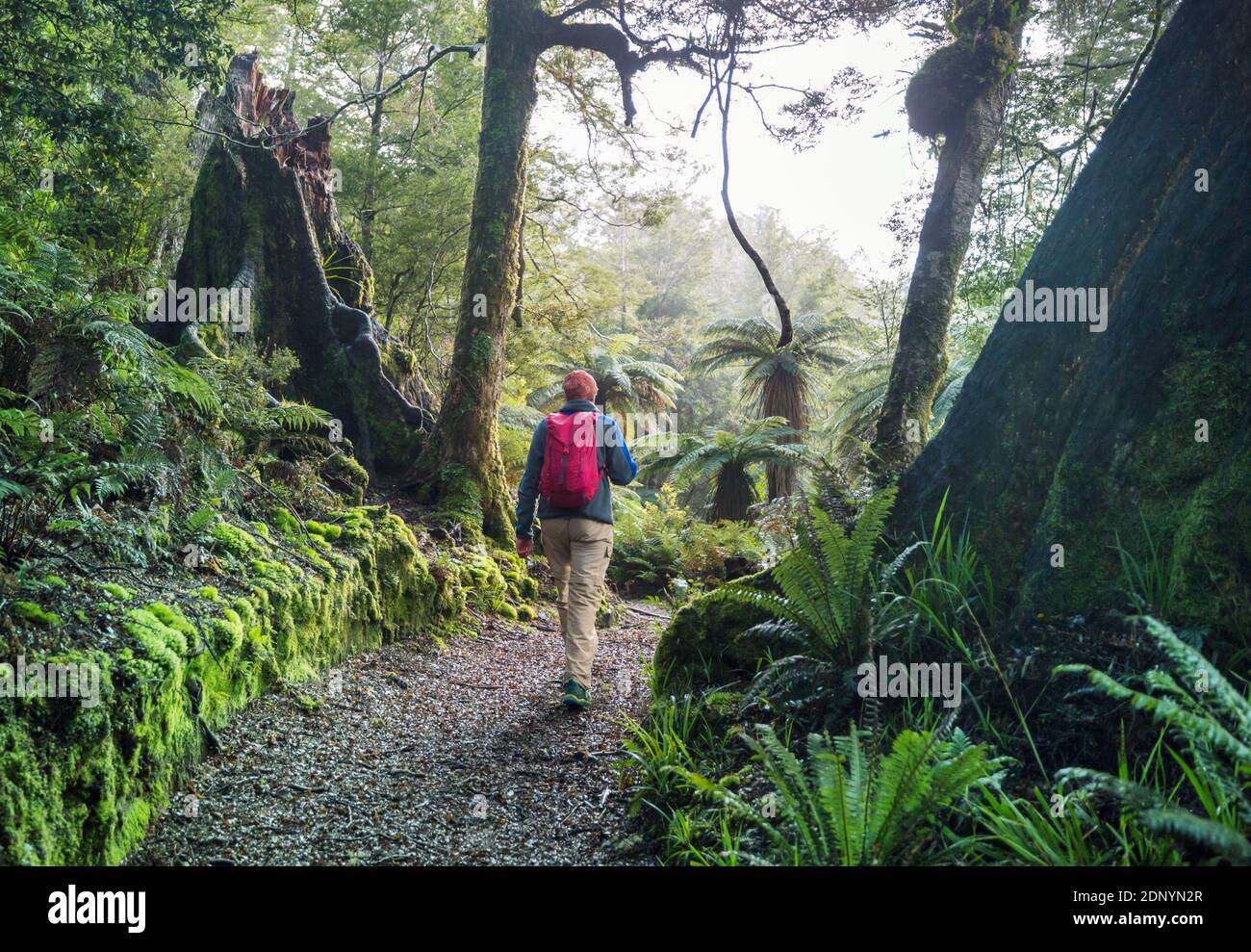Hiking and tramping in New Zealand. Travel and adventure concept Stock