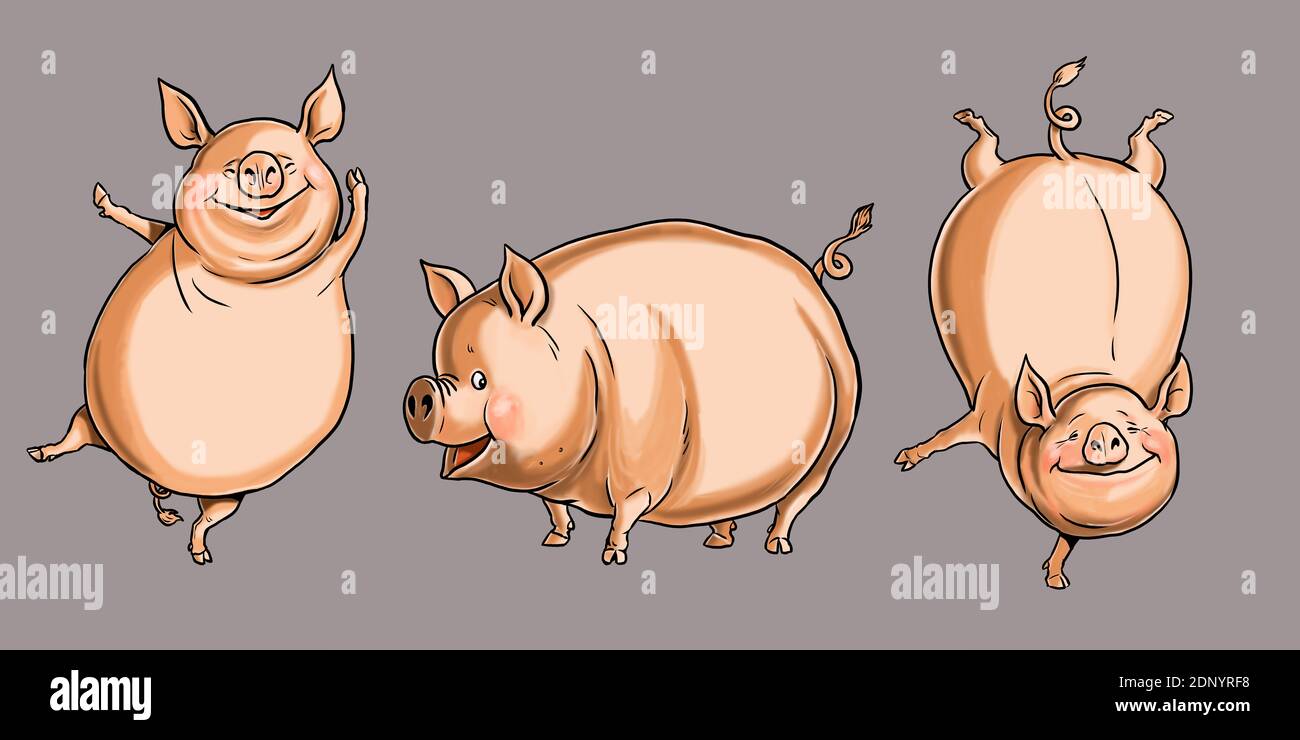 Funny dancing pig. Farm with animals. Cartoon drawing. Stock Photo