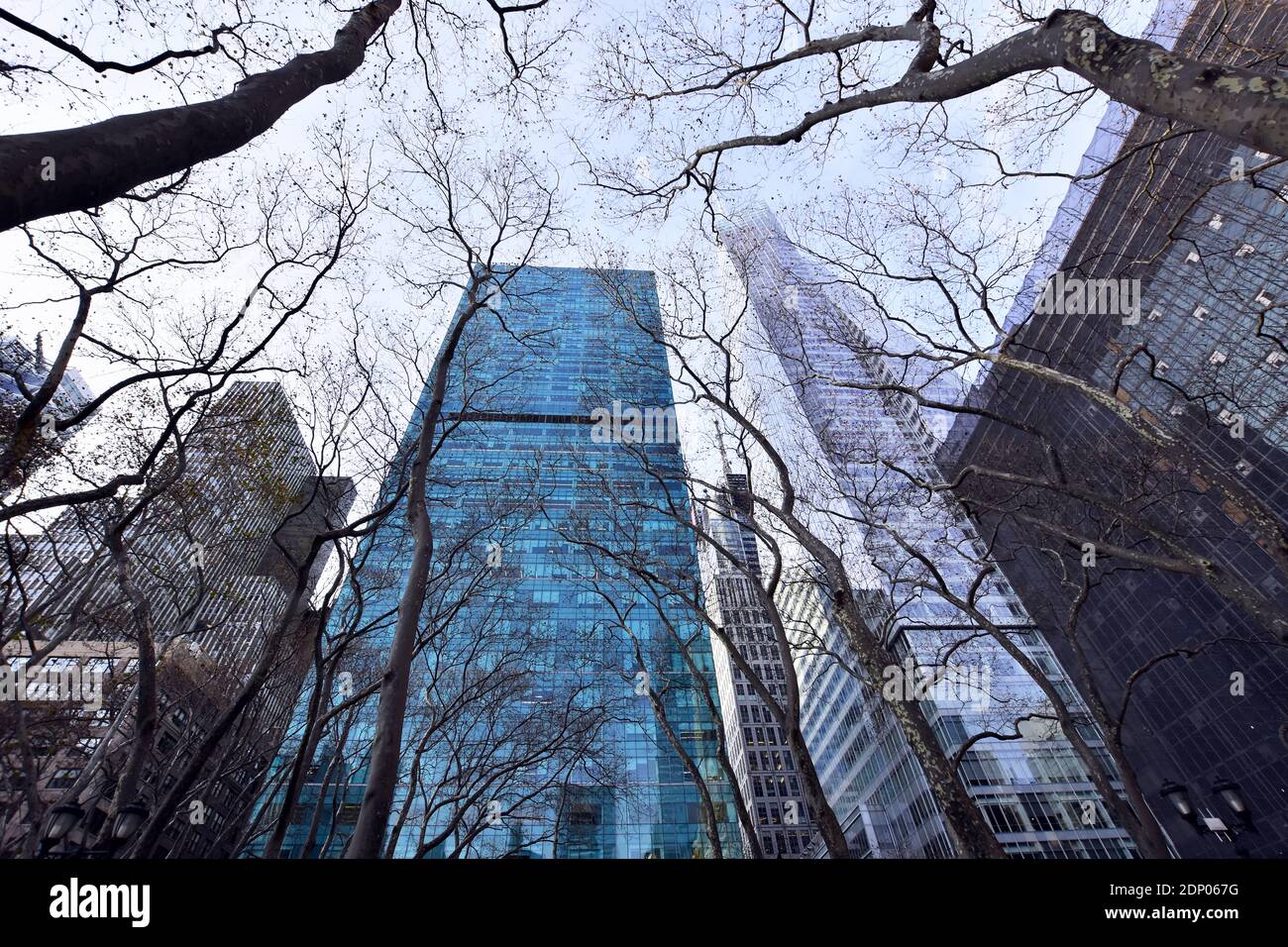 Winter trees and architecture in Bryant Park, Manhattan, New York City ...