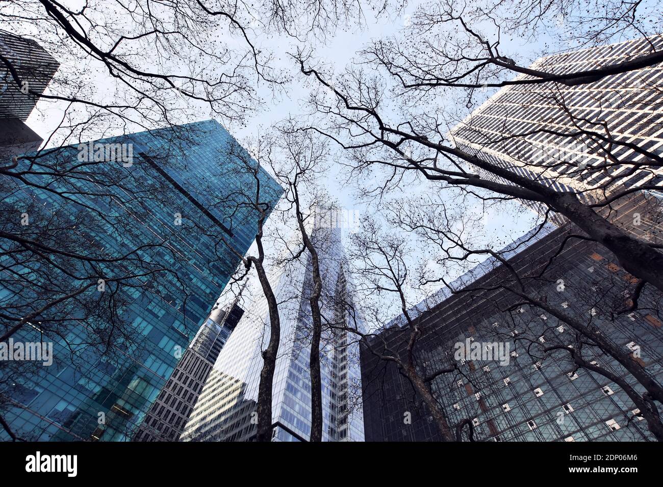 Winter trees and architecture in Bryant Park, Manhattan, New York City ...