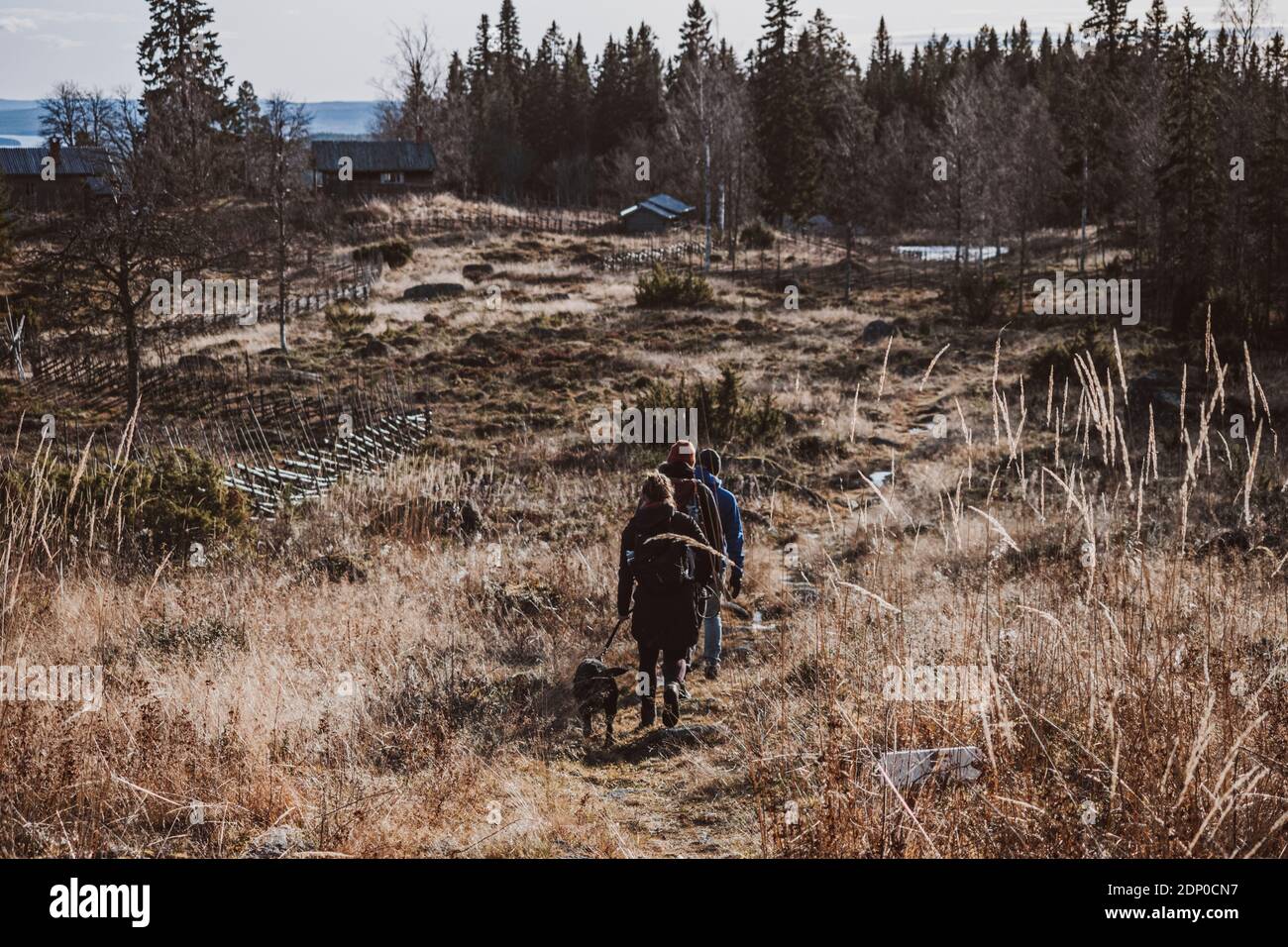 Hikers and animals hi-res stock photography and images - Alamy