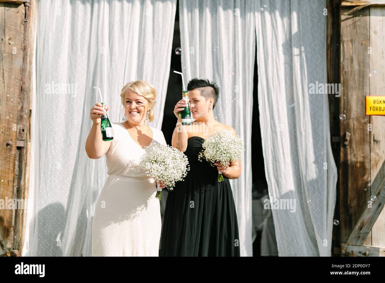 Happy brides at wedding reception Stock Photo
