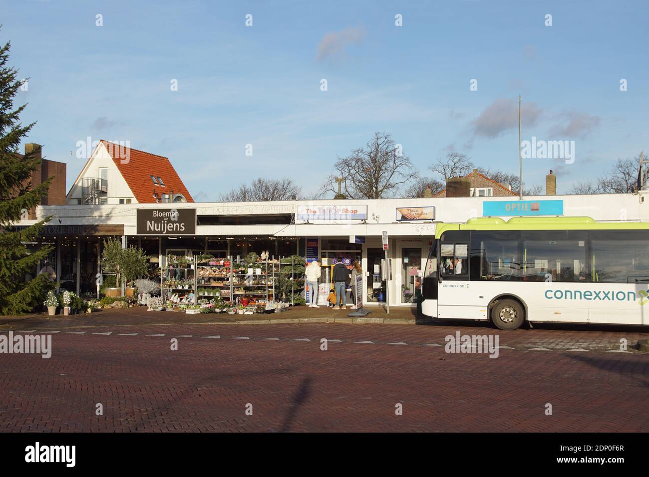 A bus at a bus stop in front of a plant shop in the Dutch village of Bergen on a sunny December day. Christmas time. Netherlands, December Stock Photo