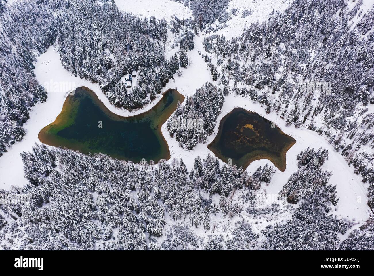 Aerial view of a snowy pine forest and green lake Stock Photo - Alamy