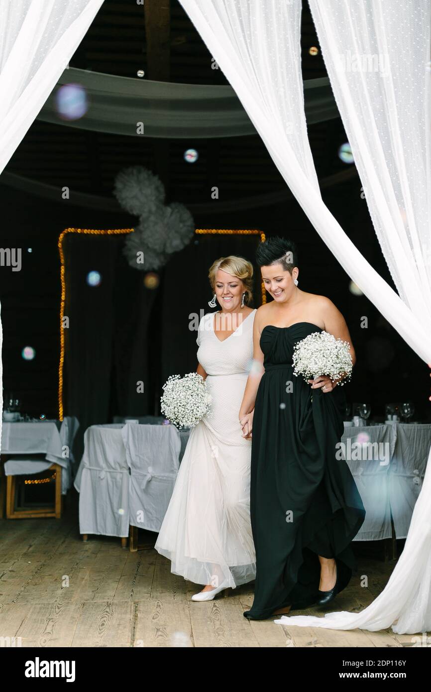 Happy brides at wedding reception Stock Photo