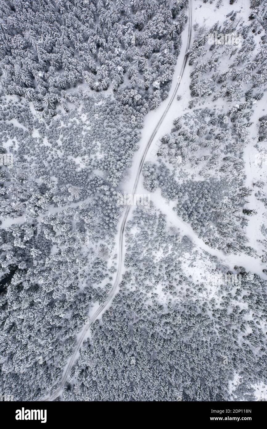 Aerial view of a snowy pine forest and road , hiking path Stock Photo ...