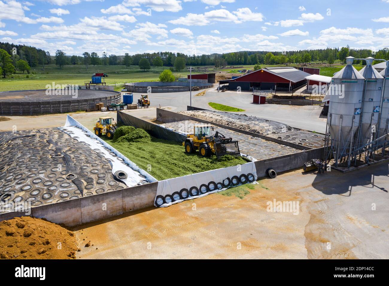 Silage forks working on silage pit Stock Photo Alamy
