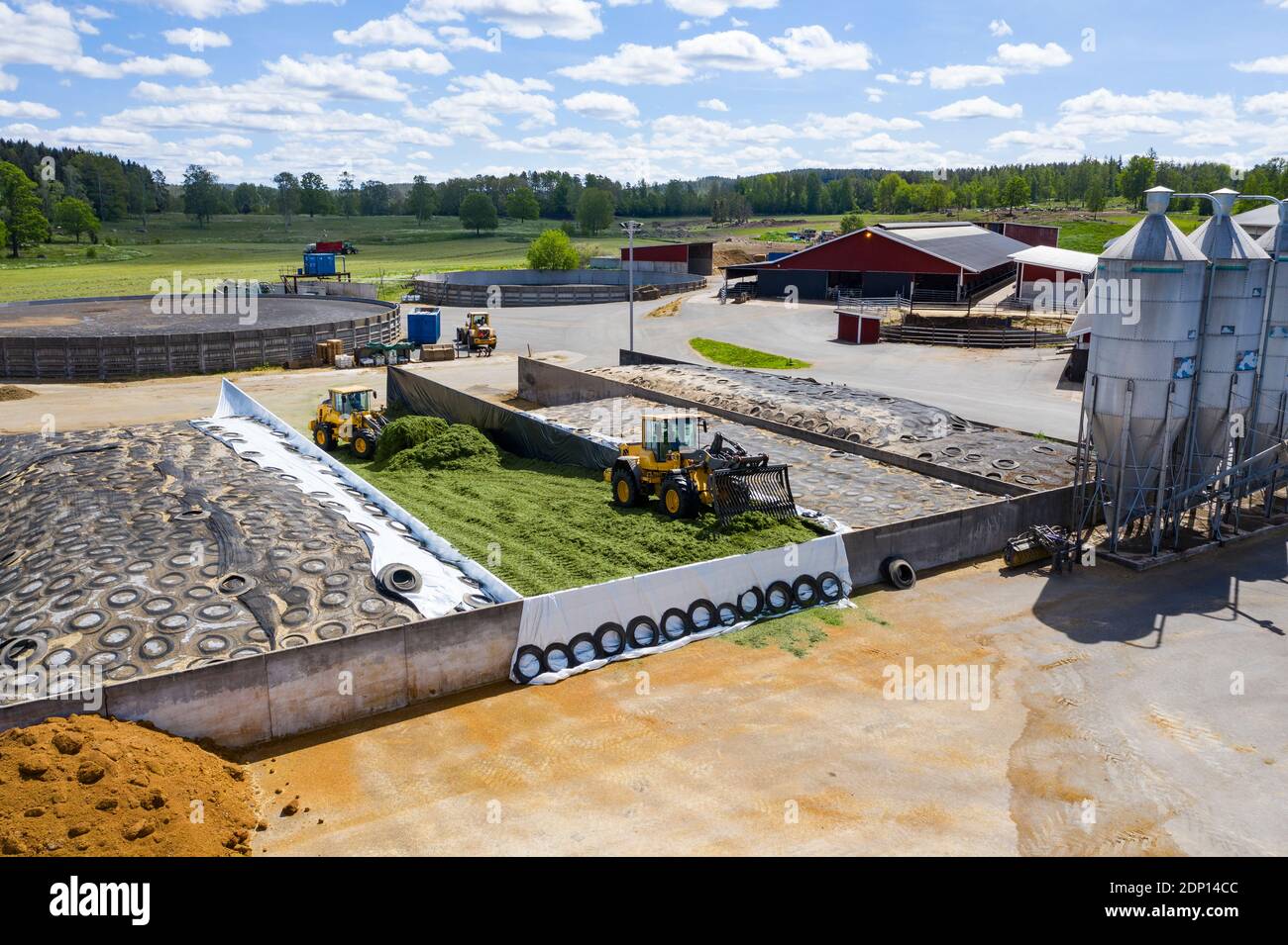 Silage forks working on silage pit Stock Photo