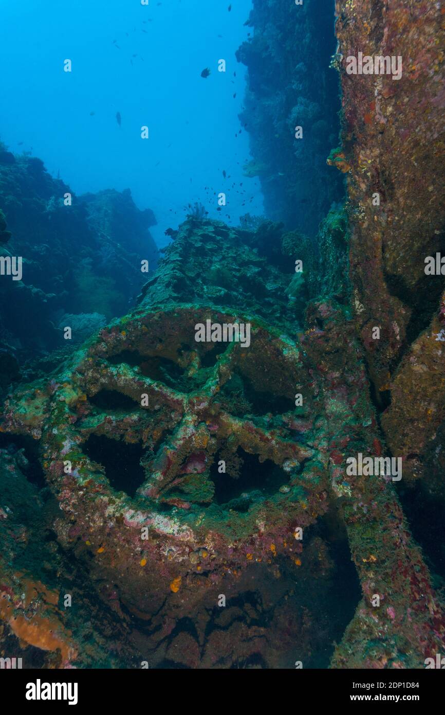 Wheel of the US Liberty Shipwreck lying underwater in Tulamben, Bali (Indonesia) Stock Photo