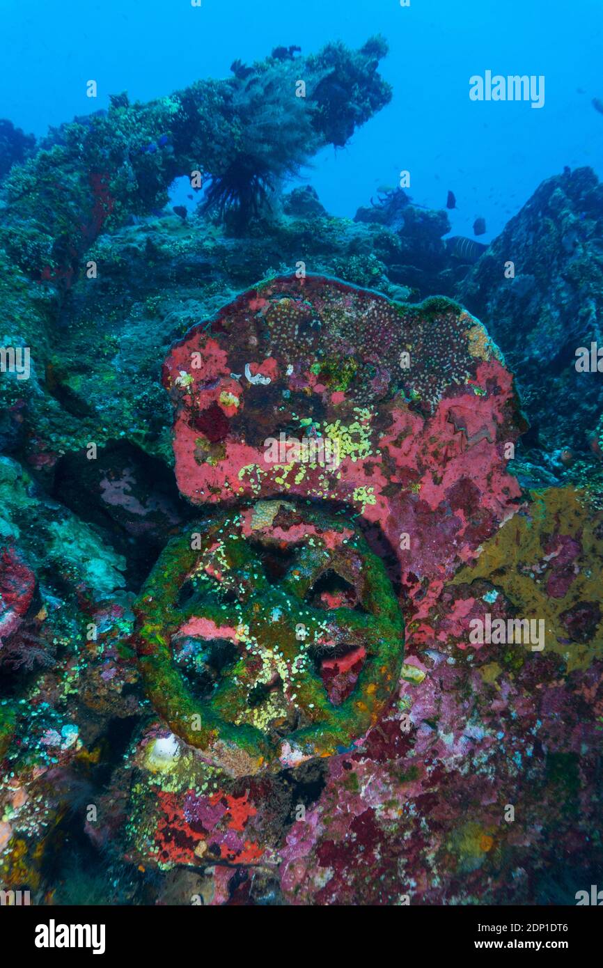Wheel of the US Liberty Shipwreck lying underwater in Tulamben, Bali (Indonesia) Stock Photo