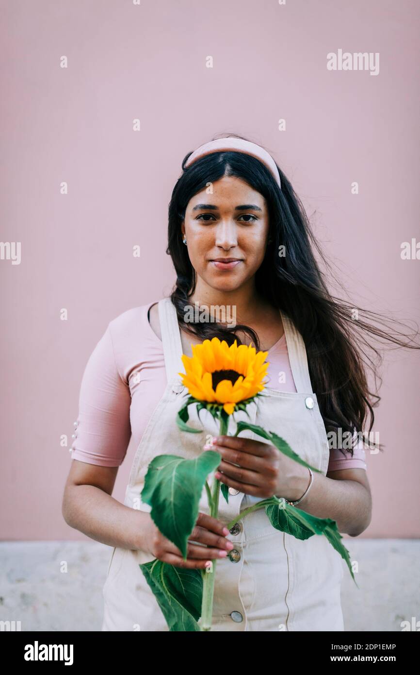 Young woman in front of pink wall, holding sunflower Stock Photo - Alamy