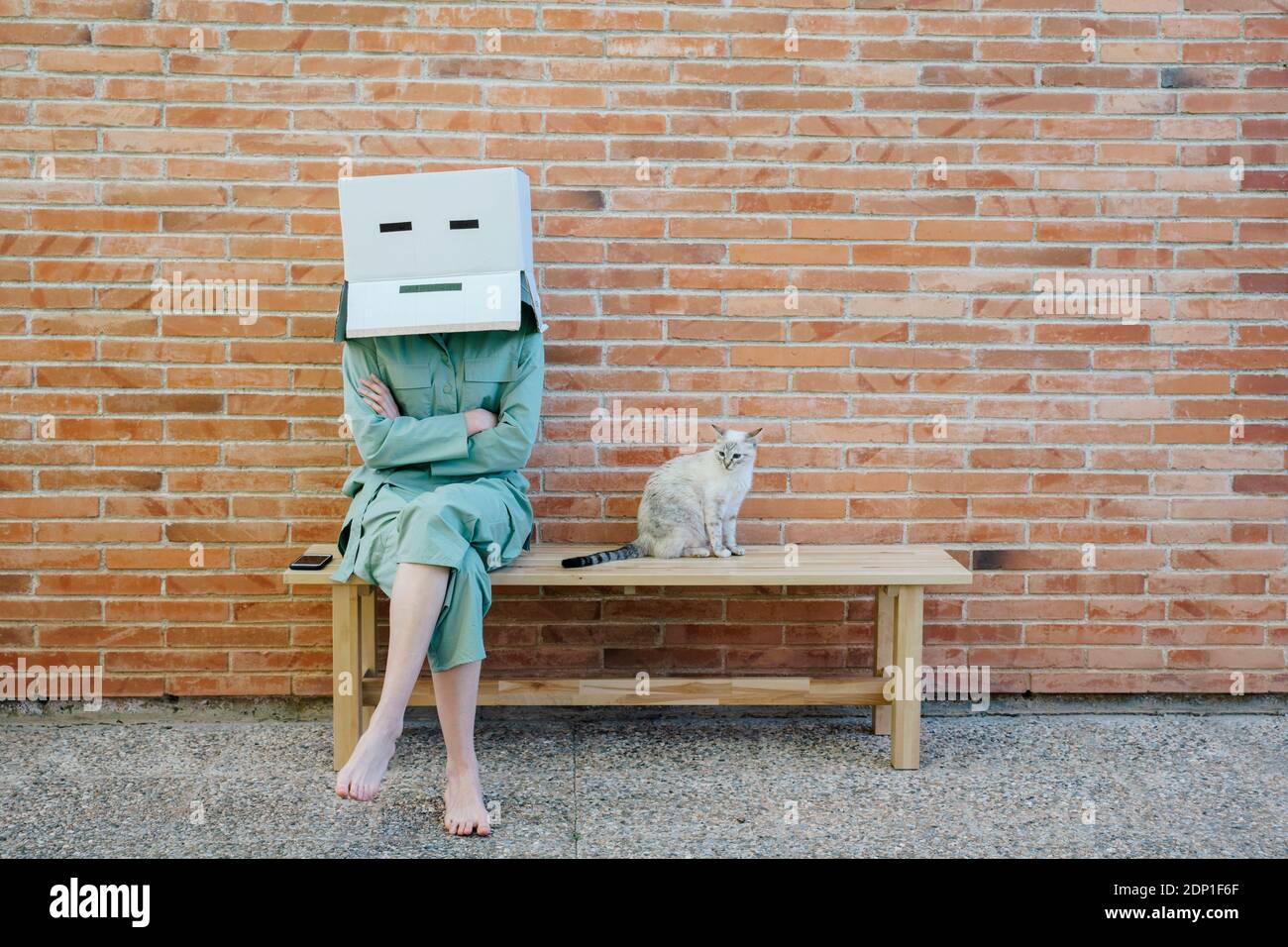 Woman sitting on bench with cat in front of brick wall with serious  face on cardboard box Stock Photo