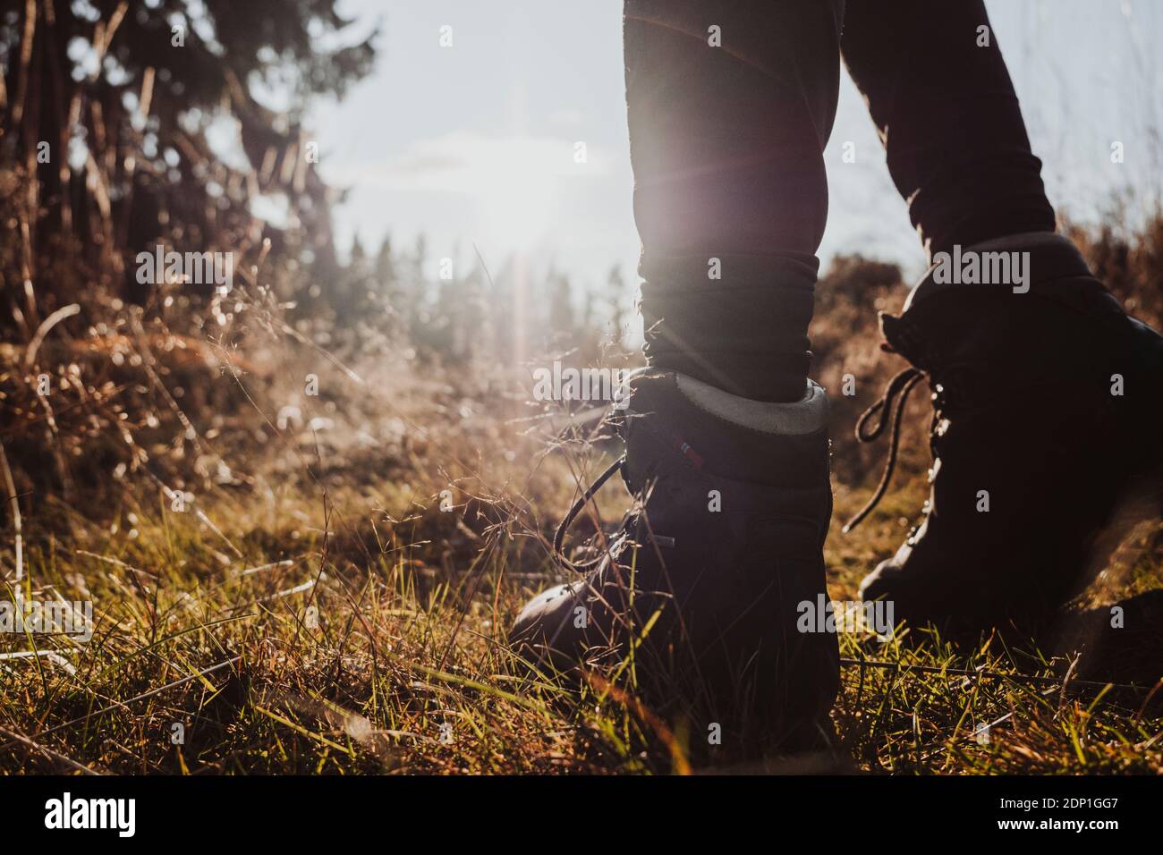 Low section of hiker wearing hiking boots Stock Photo Alamy
