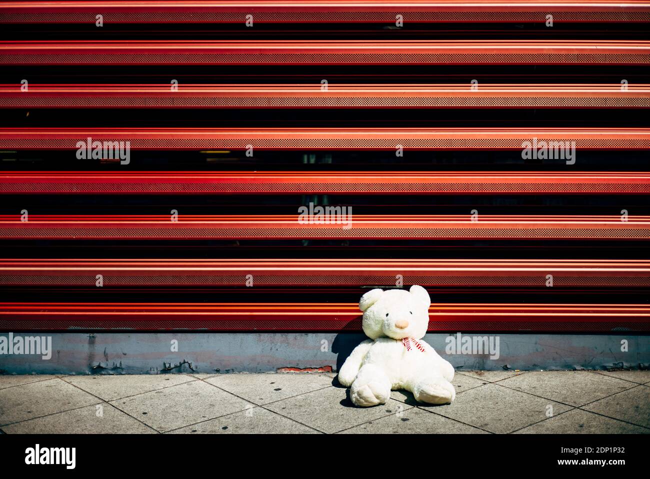 Lonely teddy bear at red wall Stock Photo