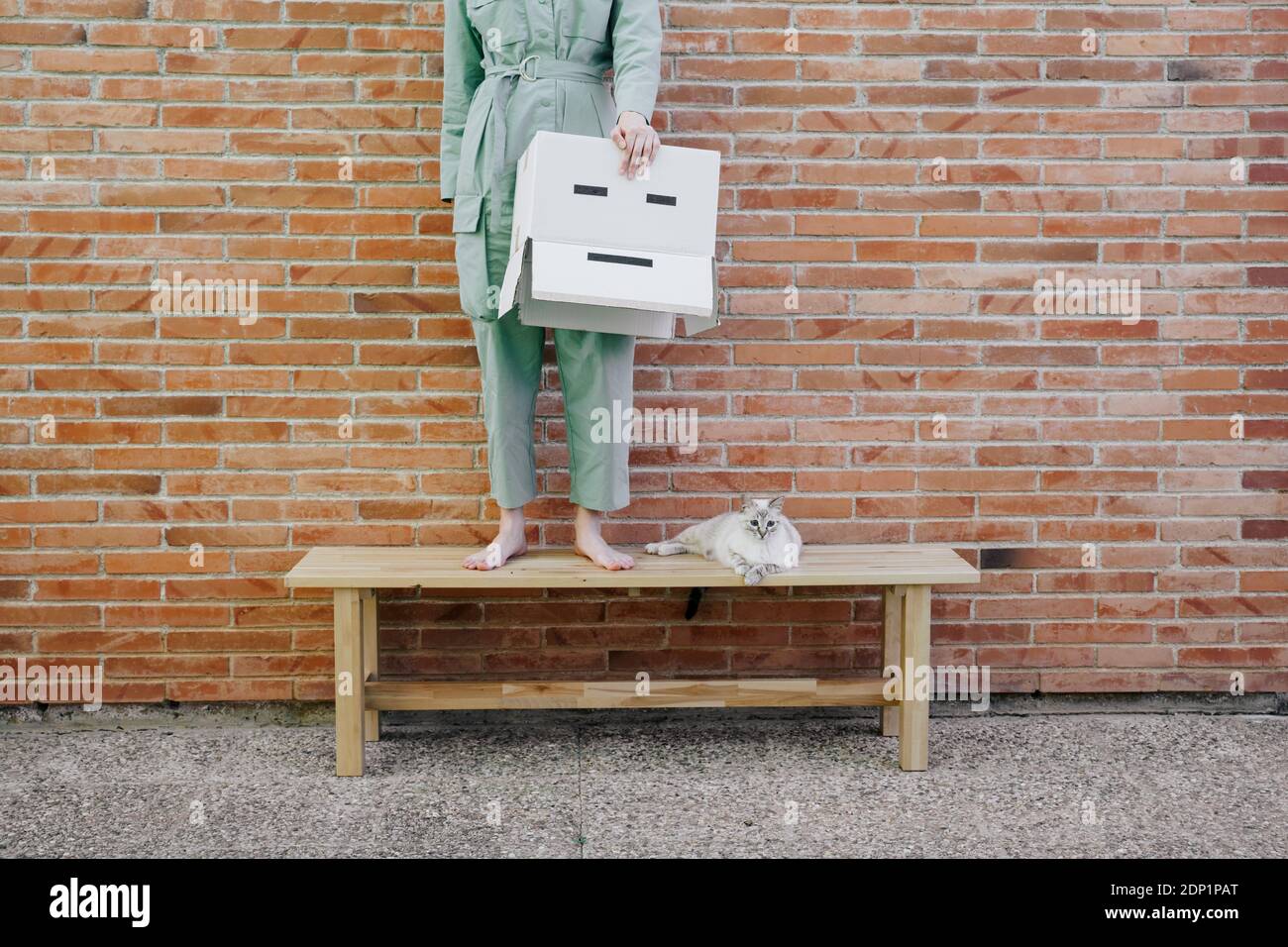 Woman standing on bench with cat in front of brick wall holding  cardboard box with sad face Stock Photo