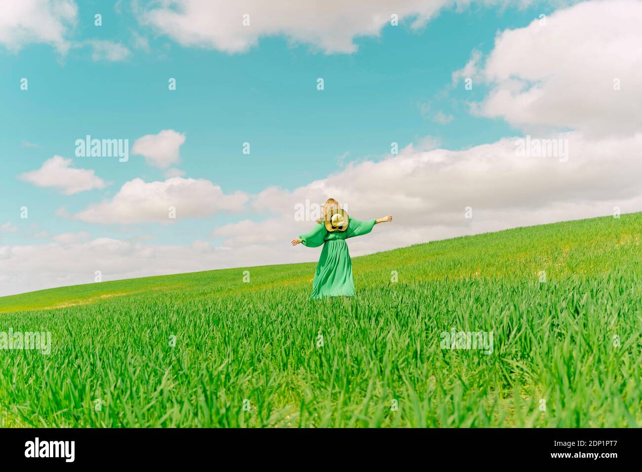 Back view of woman wearing green dress walking on a field Stock Photo ...