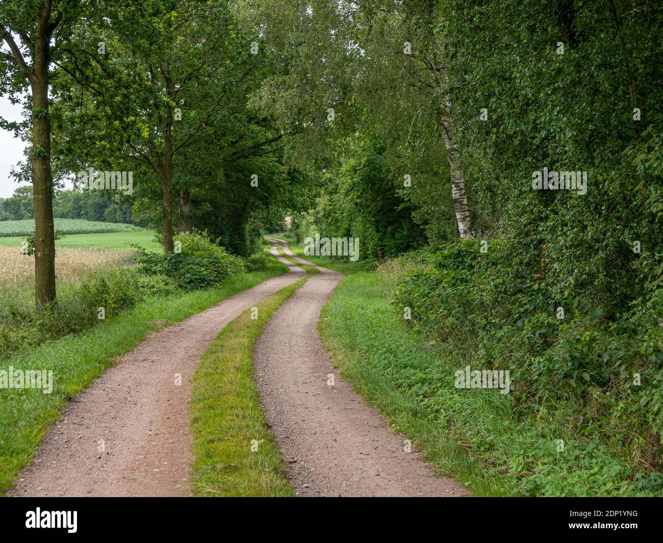 Spaziergang wald hi-res stock photography and images - Alamy